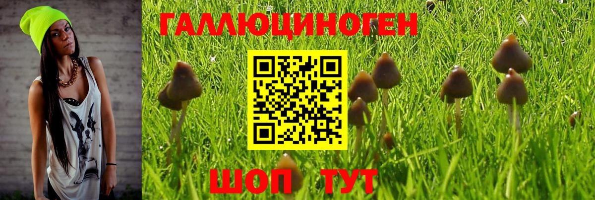 Псилоцибиновые грибы прущие грибы  Галлюциногенные грибы Psilocybe  Семёнов  Вход с VPN 